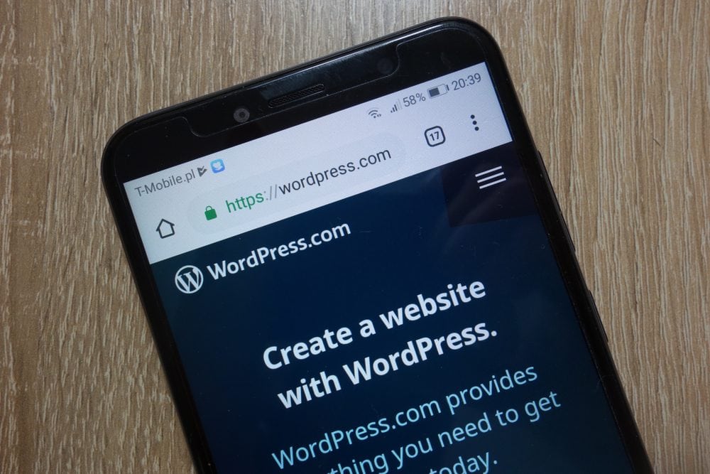 WordPress website displayed on smartphone - The Ins and Outs of Building a WordPress Website from Scratch