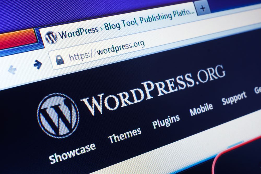 Struggling With WordPress? WordPress Blogging Tips
