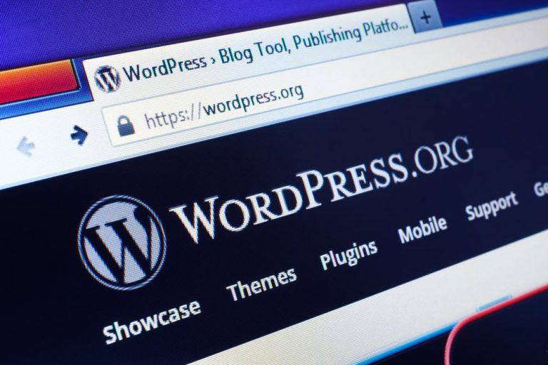 WordPress
  Struggles? Success Tips and Tricks