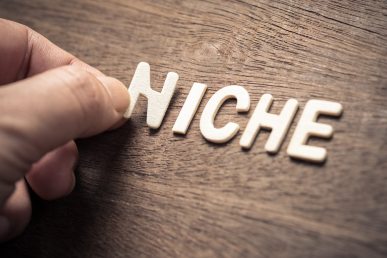 Choosing Your
Niche: A Comprehensive Guide