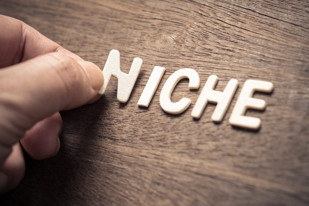 NICHE, closeup hand place a wood letter - How to Choose Your Niche?