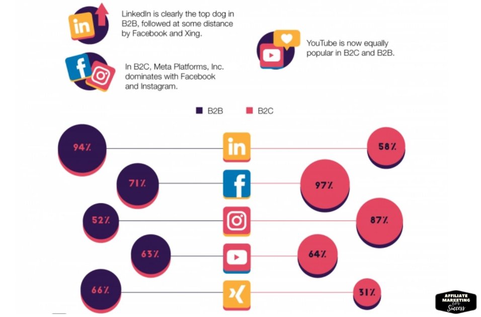 Comparison with actual figures of the different social media platforms. LinkedIn is clearly the top dog in B2B