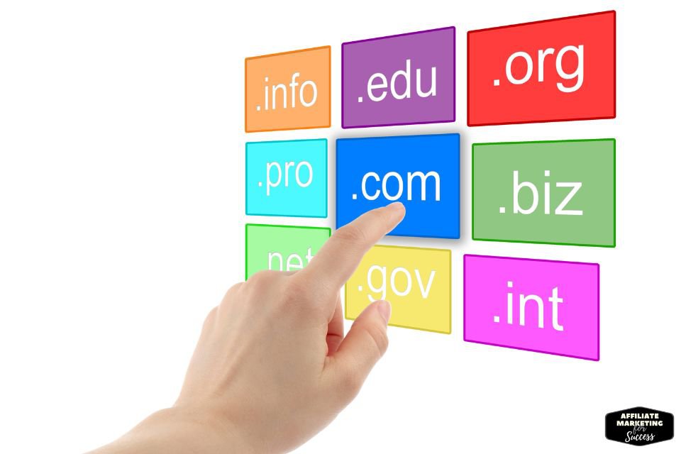 Choose a domain name .info, .edu., .org, .com, .biz, .gov